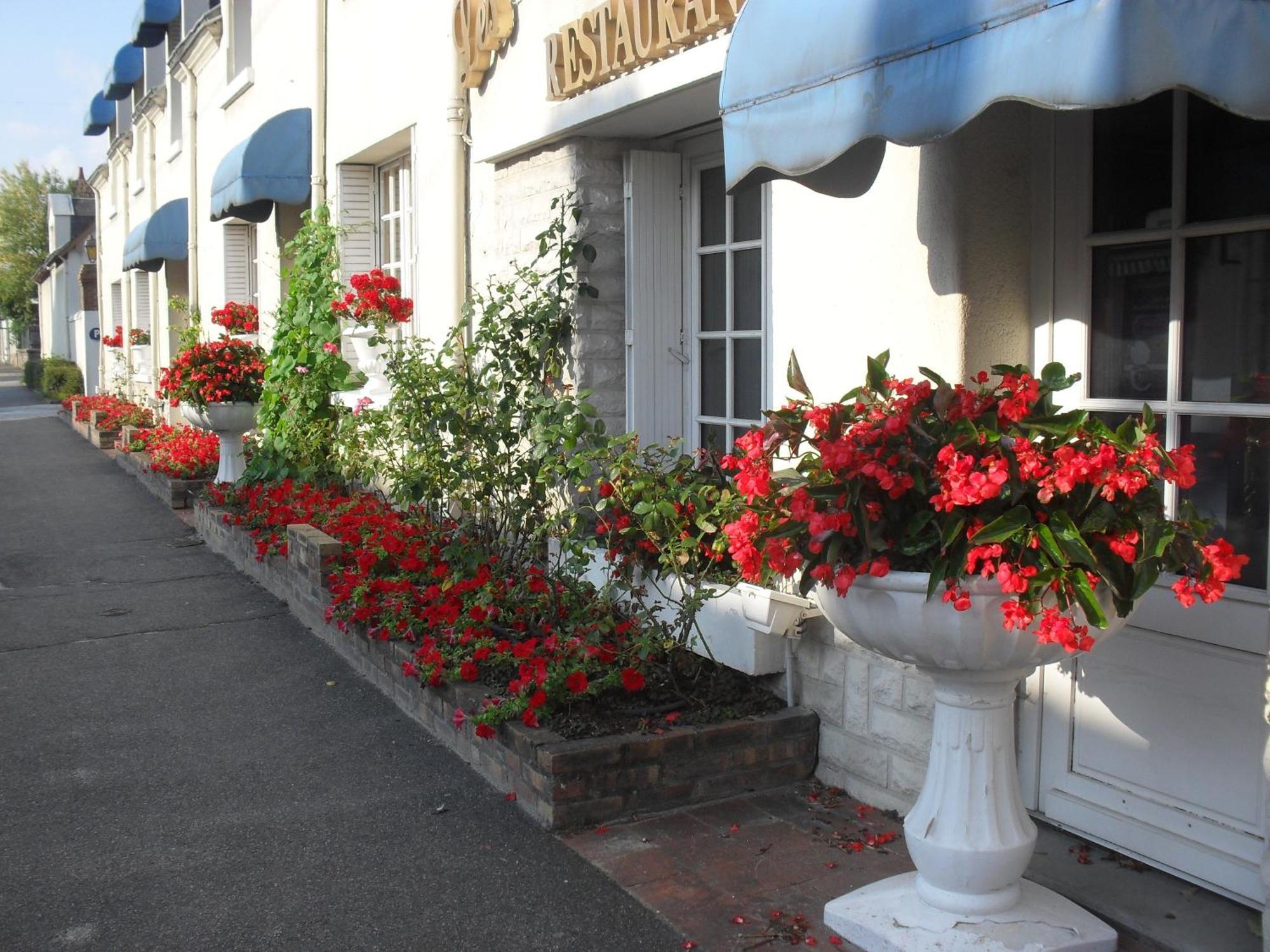 Contact Hotel De France Contres-Beauval-Cheverny Le Controis-en-Sologne Exterior photo